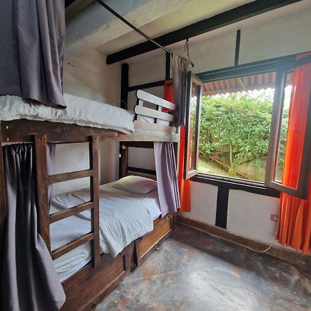 Coffee Tree Boutique Hostel سالنتو المظهر الخارجي الصورة
