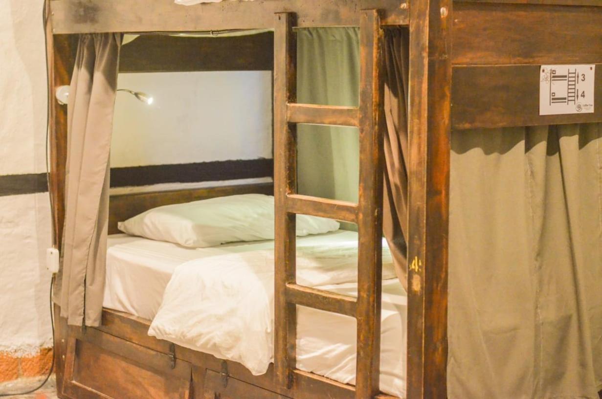 Coffee Tree Boutique Hostel سالنتو المظهر الخارجي الصورة