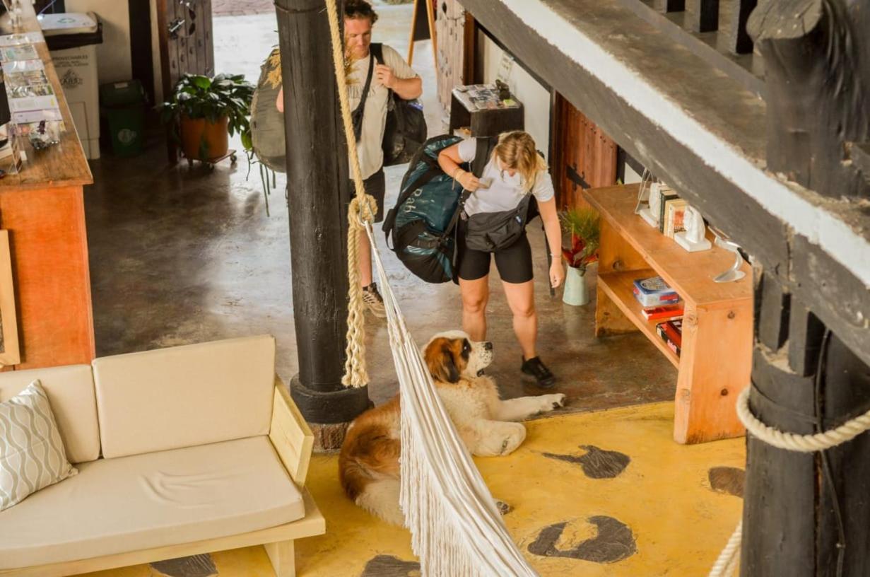 Coffee Tree Boutique Hostel سالنتو المظهر الخارجي الصورة
