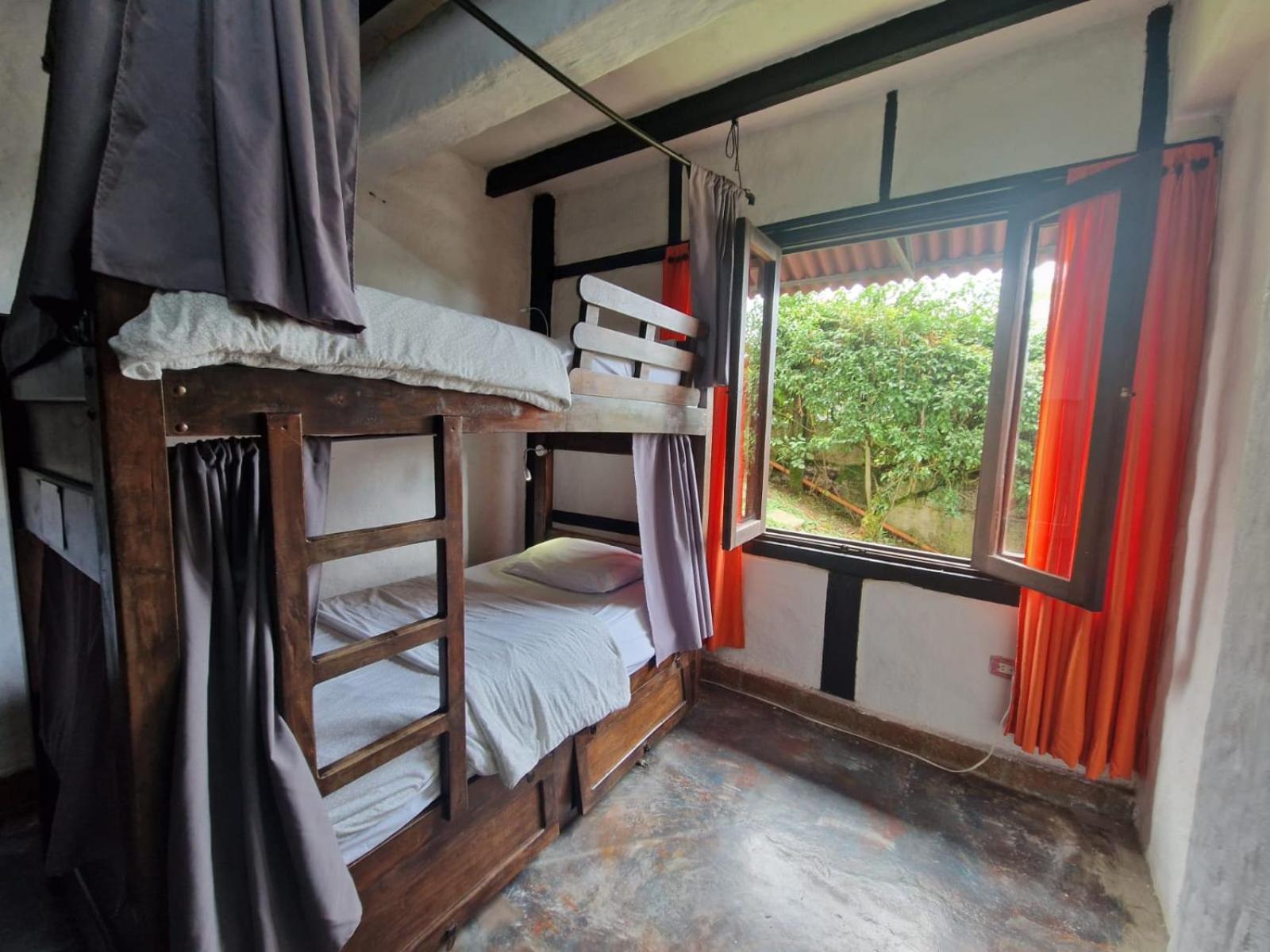 Coffee Tree Boutique Hostel سالنتو المظهر الخارجي الصورة