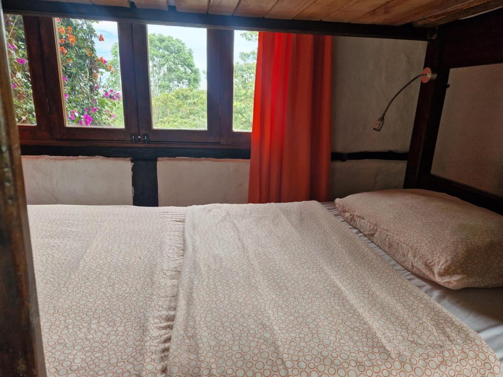 Coffee Tree Boutique Hostel سالنتو المظهر الخارجي الصورة