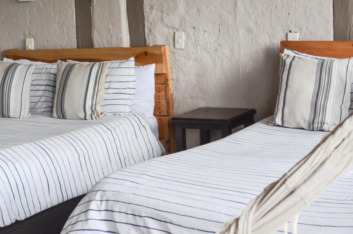 Coffee Tree Boutique Hostel سالنتو المظهر الخارجي الصورة