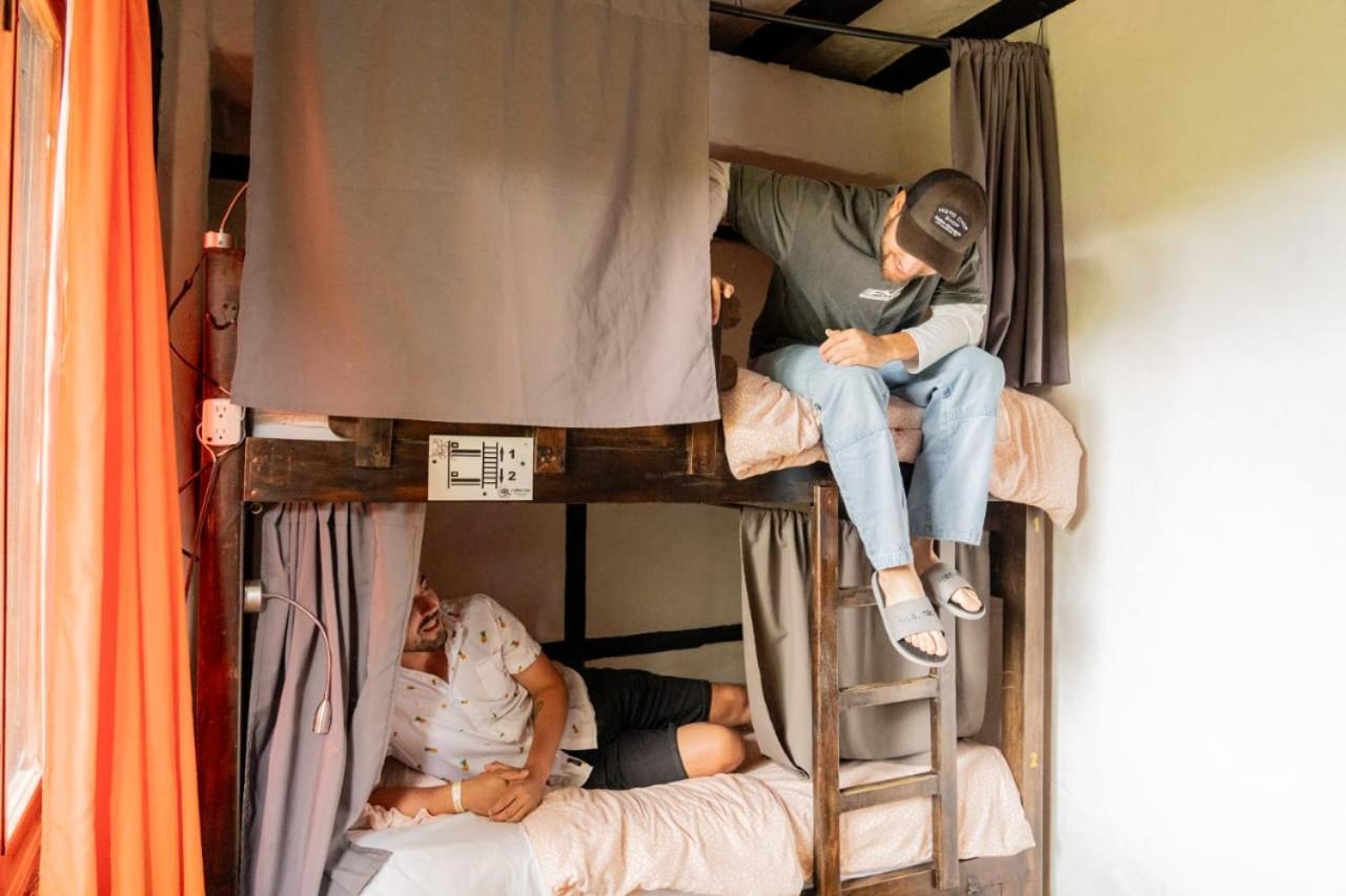 Coffee Tree Boutique Hostel سالنتو المظهر الخارجي الصورة