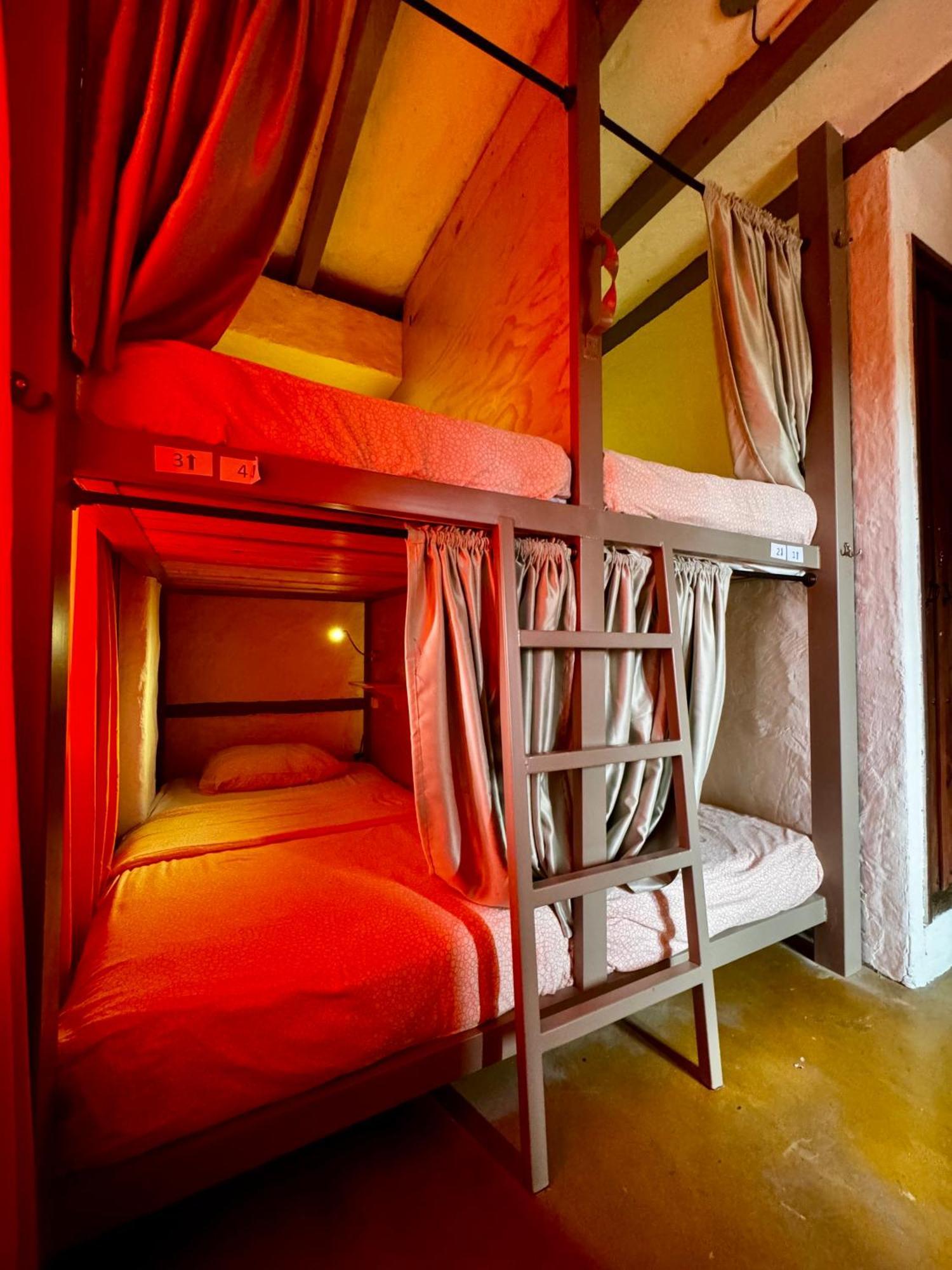 Coffee Tree Boutique Hostel سالنتو المظهر الخارجي الصورة